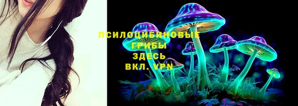 спайс Надым