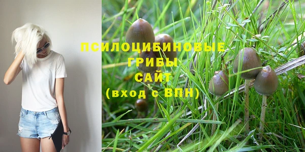 гидра Абдулино