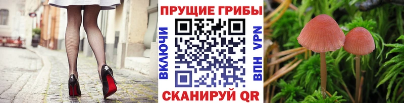 Галлюциногенные грибы ЛСД  KRAKEN ссылка  Моршанск 