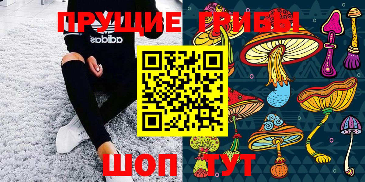 Галлюциногенные грибы GOLDEN TEACHER  Вход с VPN  Моршанск 